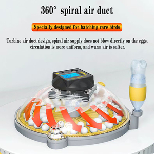 Bán trực tiếp nhỏ hộ gia đình lồng ấp hoàn toàn tự động lồng ấp trứng thông minh chăn nuôi lồng ấp - Product Image 3