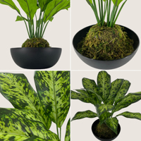 Plante tropicale artificielle Calathea Orbifolia en plastique, réaliste, en vrac, directement de l'usine, pour le bureau du Nouvel An, durable et légère