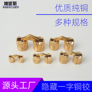 One Piece Brass Hinge 180 Degree Flush Mount For Furniture <b>Cabinet</b> Door Concealed Use Minimalist Design - Product Image 4