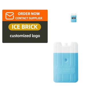 Briques de glace isothermes réutilisables en PEHD, longue durée, directement de l'usine, pour le stockage médical d'échantillons sanguins et la <span class=keywords><strong>livraison</strong></span> alimentaire en extérieur - Product Image 1