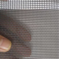Le plus populaire en 2026 : Porte de sécurité transparente en acier inoxydable avec moustiquaire en treillis tissé uni et services de découpe et de soudure