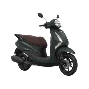 Scooter à essence 125cc de haute qualité, édition spéciale, vert mat, moto classique rétro, scooter de ville économique en carburant, exportation - Product Image 1