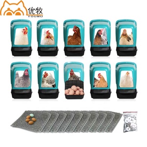 Caja automática para poner <span class=keywords><strong>huevos</strong></span> <span class=keywords><strong>de</strong></span> gallina, gran oferta, caja <span class=keywords><strong>de</strong></span> anidación <span class=keywords><strong>de</strong></span> plástico fácil <span class=keywords><strong>de</strong></span> limpiar para nido <span class=keywords><strong>de</strong></span> <span class=keywords><strong>huevos</strong></span> <span class=keywords><strong>de</strong></span> gallina, nueva condición - Product Image 6