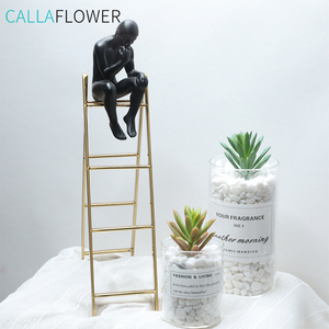 Modalità di Succulente artificiale <span class=keywords><strong>Mini</strong></span> semi di Loto <span class=keywords><strong>Piante</strong></span> Succulente/Succulente Planter - Product Image 4