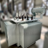Transformateur triphasé immergé dans l'huile 6kV 10kV 25kV 100kVA, 400kVA 200kVA 11kV, transformateur de puissance immergé dans l'huile, prix compétitif, support OEM