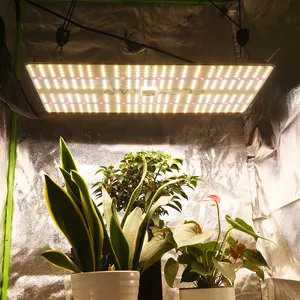 Lampe horticole de croissance LED PPF, 240w, spectre complet, panneau lumineux horticole pour culture hydroponique de plantes, semis