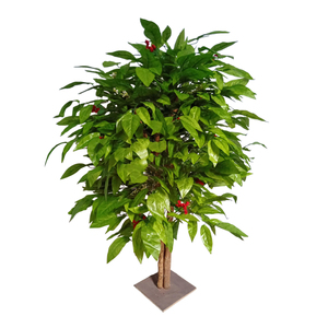 <span class=keywords><strong>Albero</strong></span> di Caffè Artificiale Decorativo per Caffetterie - Product Image 5