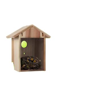 Maison d'oiseau avec ventouse forte et lanière pour l'extérieur voir à travers le nichoir en bois amélioré à l'extérieur - Product Image 3