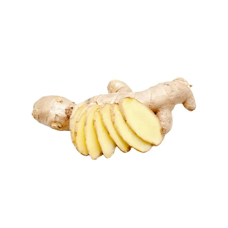 Angebot Großhandel 10 kg gefässeter frischer Ingwer mit natürlichem Jining-Ginger zu einem günstigen Preis