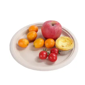 Top Biodegradable Oil-proof Disposable Compostable Food christmas Paper Plate