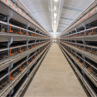 Nouveau système de cage à cailles entièrement automatique à 5 niveaux avec alimentation, abreuvement, collecte des œufs et élimination du fumier pour l'élevage avicole
