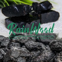 Résine de Shilajit Pur de l'Himalaya Rainwood Supply OEM, 10% d'Acide Fulvique Liquide