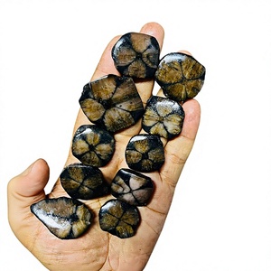 พลอยไคแอสโตไลต์แท้ทรงคาโบชอง หายาก ธรรมชาติ ทรงเจียระไนทั้งหมด FAIJAN GEMS M-71 ได้รับการประเมินจากบุคคลที่สาม - Product Image 1