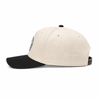 Gorra de Béisbol Clásica Personalizada con Bordado 3D, Logotipo a Color, 5 Paneles, Imagen, Dos Tonos, Deportiva, Unisex, Casual, Streetwear