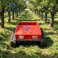Nouvelle Arrivée Mini Tondeuse à Fléaux pour Ferme 550mm 800mm 1000mm 1200mm Tondeuse Robotique à Essence sur Chenilles pour la Coupe de l'Herbe à Domicile