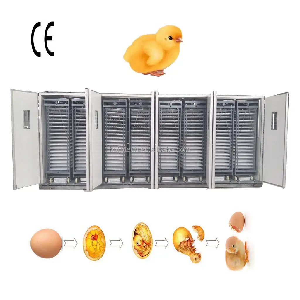 Incubadora de huevos de gallina 50688 automática de gran diseño, incubadora de huevos de codorniz de avestruz, 8 HJ-I27