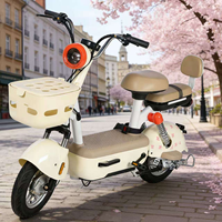 Trottinette Électrique et Vélo – Vente en Gros Usine – 350W/500W 48V 12AH – 2 Roues – Pneu 14 pouces pour Adulte