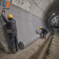 Bâche en argile bentonite GCL haute résistance à la traction, résistante aux perforations, de haute qualité pour l'utilisation sur les pentes de barrages et réservoirs