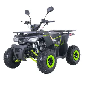 Tao Motor 2022 neuer Motor 125 Ccm Automatik-Elektro-Start Atv 125 Ccm Kettenantrieb Atv 125 Gas / Diesel Atv 150 Ccm Quad 125 Ccm 8 Zoll