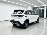 Véhicule électrique compact de luxe en gros, SUV à longue autonomie, 4 roues motrices, véhicule à énergie nouvelle pour adultes, trajets urbains, 3500W