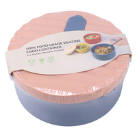 Silikon Beheizbare Kleine Umweltfreundliche Leichtgewichtige Lebensmittel-Aufbewahrungsschüsseln Luftdichter Deckel Mikrowellengeeignet BPA-Frei Lunchboxen