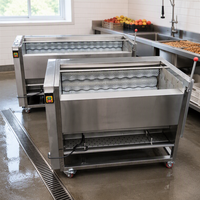 Volledig automatische fruitwasmachine met motor voor landbouwgebruik, lange levensduur