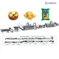 Kleinschalige Automatische Chips Frituren Machine Nieuwe Staat Fabriek Voor Plantaardige Verwerking