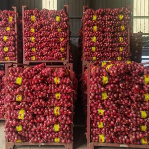 Свежий красный лук и желтый лук белый цена за тонну в Китае от экспортера семян лука - Product Image 6