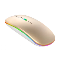 Souris sans fil BT rechargeable ultra fine Mini optique 1600DPI RGB 3D ergonomie Design pour ordinateur portable PC en stock