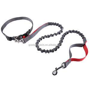 Venta caliente Correa para mascotas con correa para correr Correa elástica Material de nailon Negro Rojo Naranja Azul Color con hebilla de aleación de zinc - Product Image 2