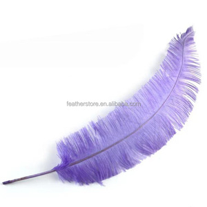 Plumas de Avestruz <span class=keywords><strong>Nando</strong></span> Recortadas de 55-60 cm, Disponibles en Cualquier Color, de la Mejor Calidad para Decoraciones de Carnaval y Accesorios de Disfraces - Product Image 3