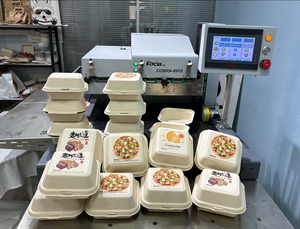 Imprimante numérique à jet d'encre à plat de haute qualité, nouvelle, à passage unique, avec garantie d'un an, pour l'impression de sacs en papier et de boîtes à pizza - Product Image 4