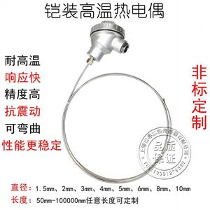 เทอร์โมคัปเปิลหุ้มเกราะชนิด K รุ่น WRNK-131, หัววัดอุณหภูมิแบบยืดหยุ่น WZPK, เทอร์โมมิเตอร์วัดความต้านทานแพลตตินัม Pt100 แบบหุ้มเกราะ - Product Image 5