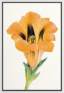 Plaques d'immatriculation de haute sécurité certifiées ISO avec filigranes holographiques et motif de <span class=keywords><strong>CODE</strong></span> QR plaque d'immatriculation personnalisée - Product Image 5