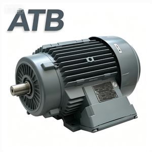 Moteur triphasé Schorch ATB Weg Motor 5kw 10kw 15kw 20kw 30kw 40kw 50kw 3kw 4kw 8kw 11kw 100kw 200kw - Product Image 1