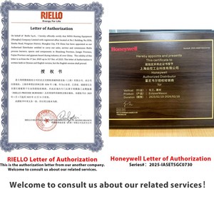 Quemador de aceite ligero original Riello <span class=keywords><strong>GULLIVER</strong></span> RG3D RG4D RG5D para calefacción doméstica - Product Image 3