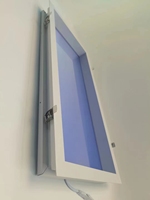 Blue Sky LED lucarne plafonnier encastré lucarne artificielle panneau LED 600x600 300x1200
