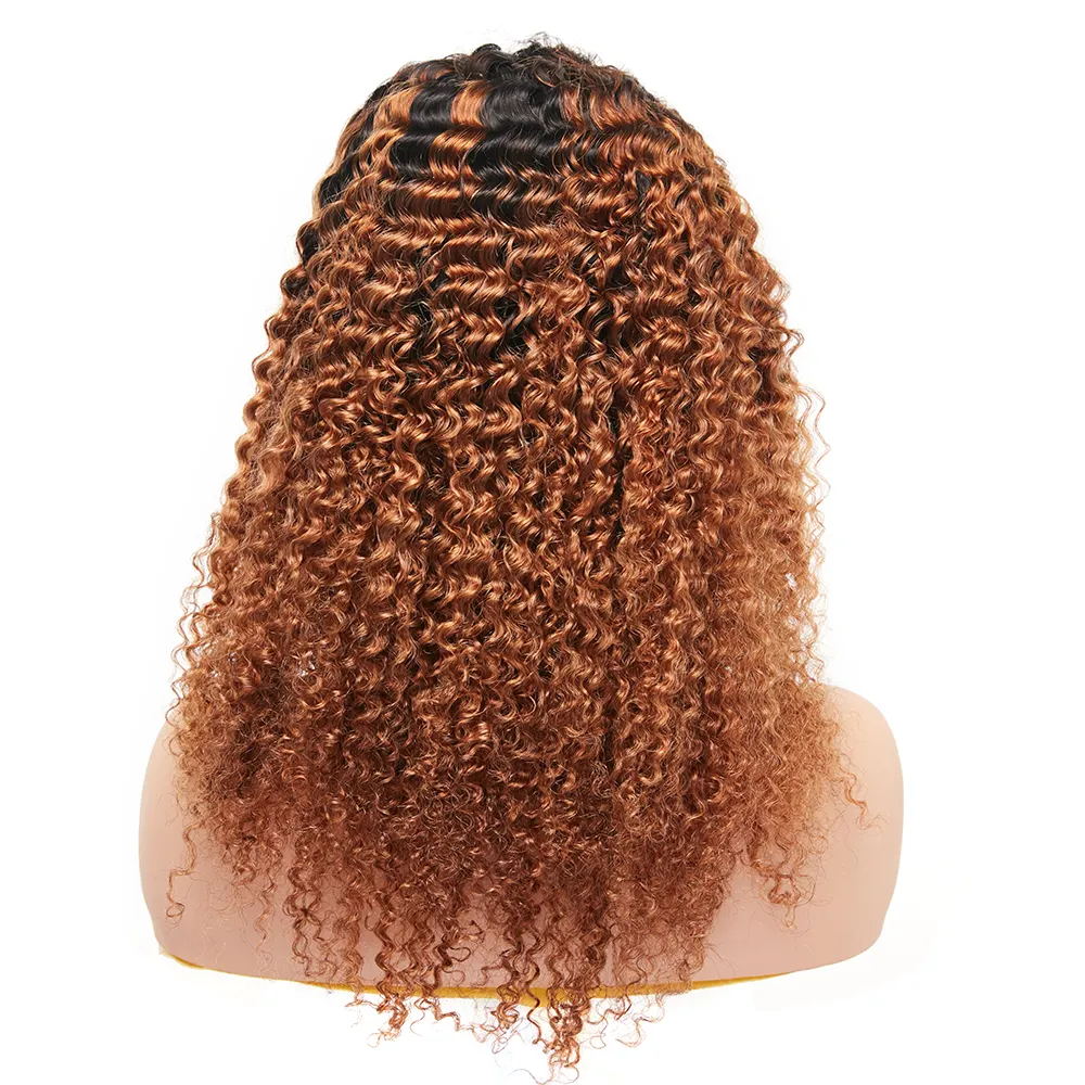 Virgin Remy Indian Hair Raw Unprocessed Ombre 30 Color Kinky Curly Human Hair Wig For Black Women