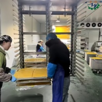 Fruit Groente Vriesdroogmachine Voor Hoge Kwaliteit Dehydratie Vacuüm Vriesdroger Apparatuur Voor Voedsel