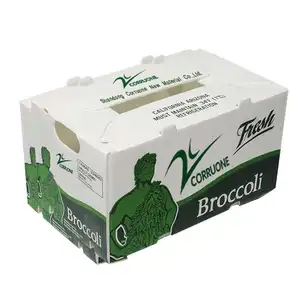 Broccoli Box P PP Corrugated Plastic Sheets for Vegetable and Fruit Box Corflute correx Corn Broccoli and Agriculture Packing