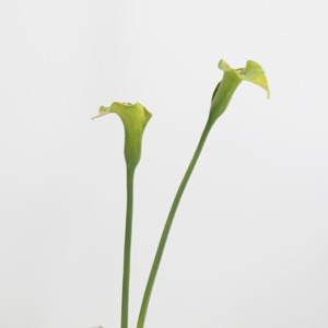 Vente en gros de grandes fleurs artificielles en PU de 65 cm, <span class=keywords><strong>lys</strong></span> blancs pour la décoration du salon, mariage, extérieur, <span class=keywords><strong>lys</strong></span> noirs et oranges - Product Image 1