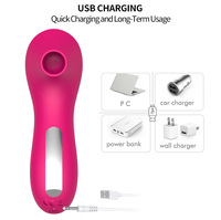 Klitoris-Stimulator, Luftpuls-Vibrator, 10 Modi, Saugmassagegerät, wasserdicht, USB wiederaufladbar, G-Punkt-Vibrator, persönlich für Frauen