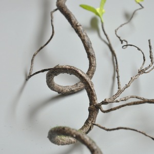 Nhựa Nhân Tạo Nhà Máy Dây Leo Nâu Bán Buôn Khô Nho Chi Nhánh Tường Treo Bất Cảm Ứng Nhân Tạo Chi Nhánh - Product Image 6