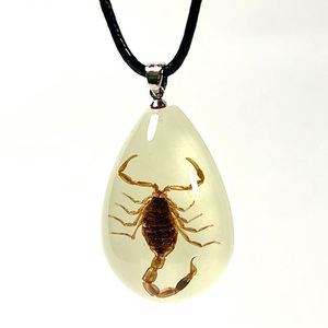 2025 nuevo colgante de collar de <span class=keywords><strong>insectos</strong></span> reales para niños suministro de fábrica joyería de resina colgante que brilla en la oscuridad - Product Image 3
