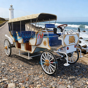 Calèche de Mariage Personnalisée pour Visites Touristiques – Véhicule de Transport Spécial à Prix Abordable avec Sièges Bleus - Product Image 2