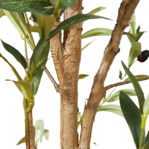 <span class=keywords><strong>Arbre</strong></span> d'olivier artificiel <span class=keywords><strong>en</strong></span> soie artificielle, <span class=keywords><strong>arbre</strong></span> <span class=keywords><strong>en</strong></span> pot d'intérieur, tronc <span class=keywords><strong>en</strong></span> <span class=keywords><strong>bois</strong></span> naturel, fruits réalistes, <span class=keywords><strong>décoration</strong></span> de la maison, <span class=keywords><strong>décoration</strong></span> de bureau, <span class=keywords><strong>décoration</strong></span> murale - Product Image 6