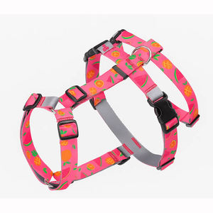 Desain khusus tidak ditarik tali anjing Y anak anjing & grosir besar dipersonalisasi tanpa tarik tali anjing dengan nama - Product Image 2