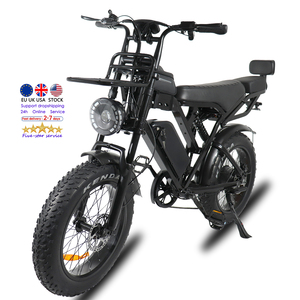Vélo Électrique à Pneus Larges de 20 Pouces, <span class=keywords><strong>Type</strong></span> Cargo Familial, Vélo Cargo Électrique VOMO X80 - Product Image 3