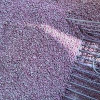 Litière pour chat en bentonite de sodium en gros OEM ODM, 99 % sans poussière, agglomération rapide, marque privée, qualité export