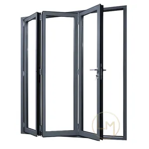 Toptan iç katlanır kapılar cam paneller-Endüstriyel siyah iç Metal fiberglas 2 Panel dış temperli cam Bifold katlanır kapı